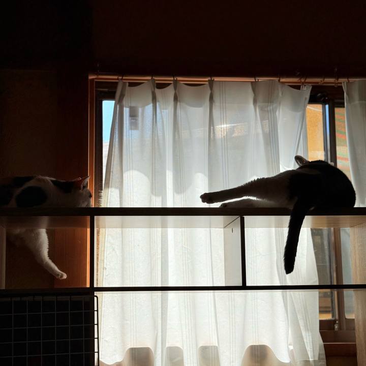 172b3fa1 1879 47db b1b9 78e458b82656 1760234246681