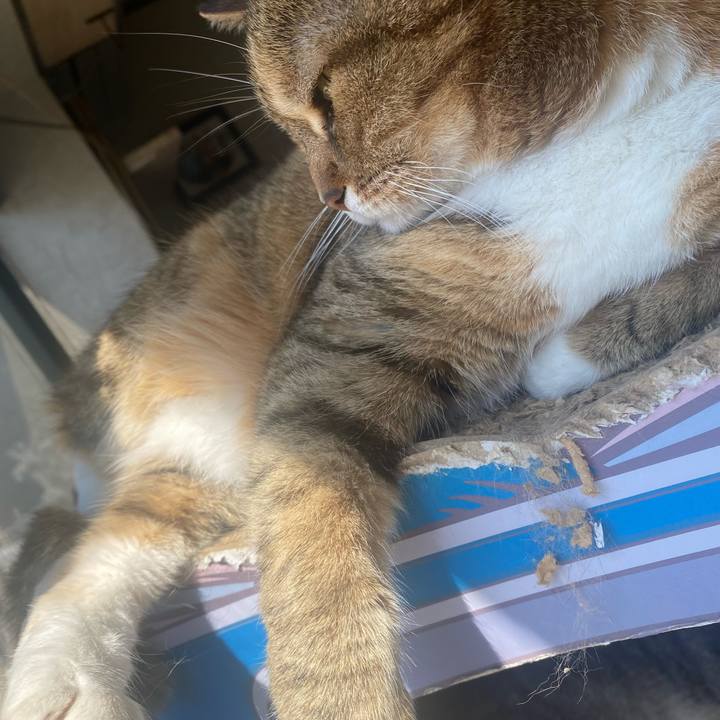 172b46c5 9a98 4e99 a5c0 875debc29c3b 1683073827033