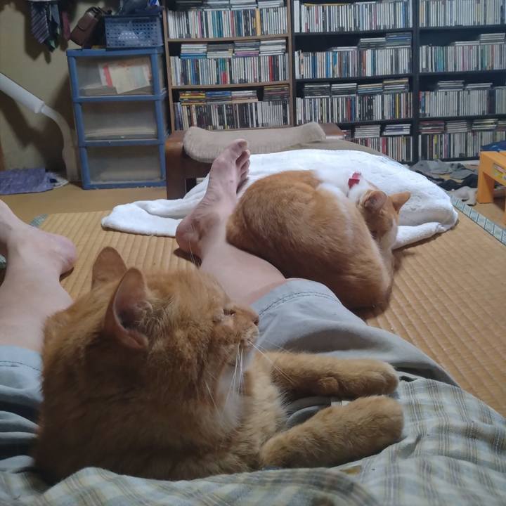 172b47bd dcba 46cb b594 7b8d18acc92d 1754991638248