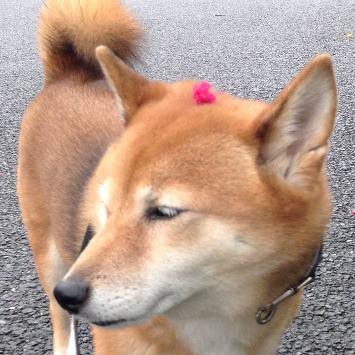 172b57a0 1ce4 4832 9619 ccb56f8642ec 1535940253685