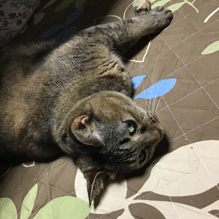 172b57de cca5 4c3b a779 970b2286c3da 1728385468786