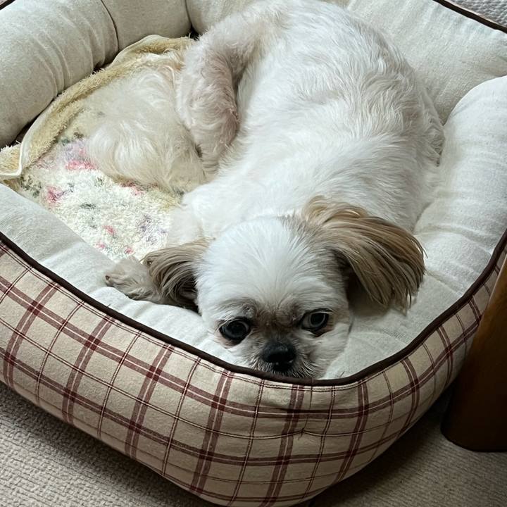 172b74cc b6d2 49b3 81b2 c88fcbc7f6e1 1660616226023