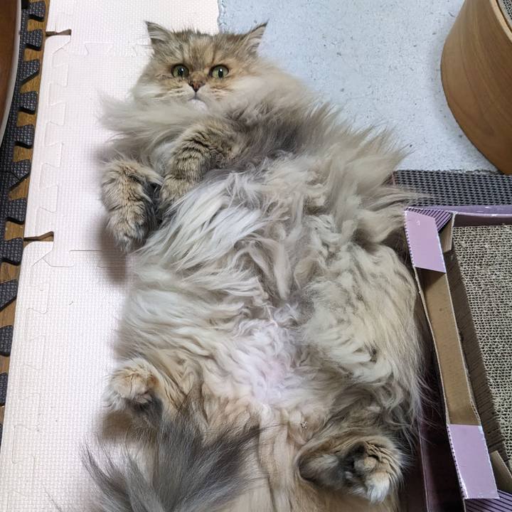 172bab33 9521 4f50 9d1b 45f8739a2cb4 1702476975452