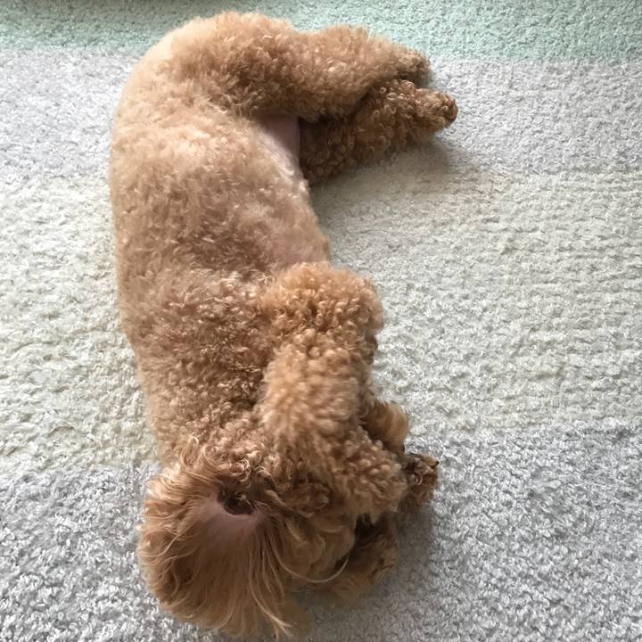 172bb7b8 d0af 45bb bb0e d819e7b7d345 1528681735842