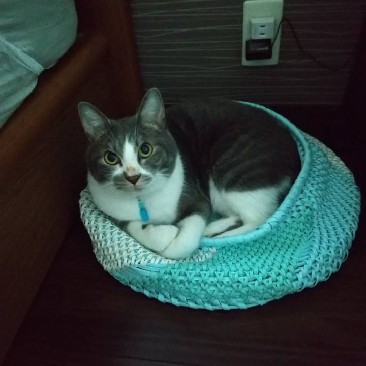 172bc312 990c 4f91 a2a9 c4a1fe3babbe 1632692707515