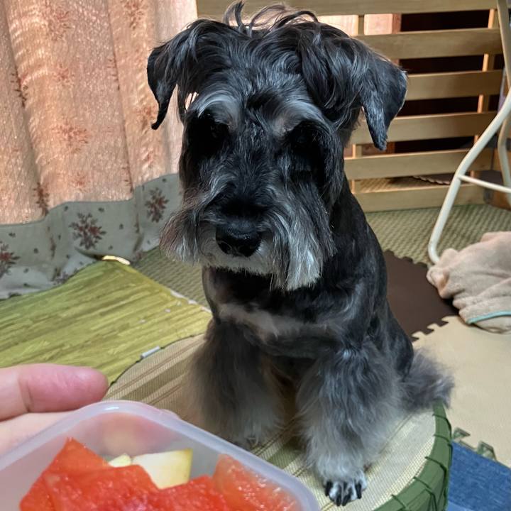 172bd84b 42fd 45e2 9437 c0fba845223a 1726463145397