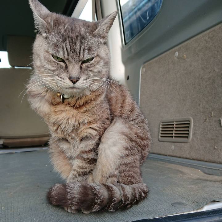 172c00f1 f537 4974 b27a bc2b7d31893c 1569391840051