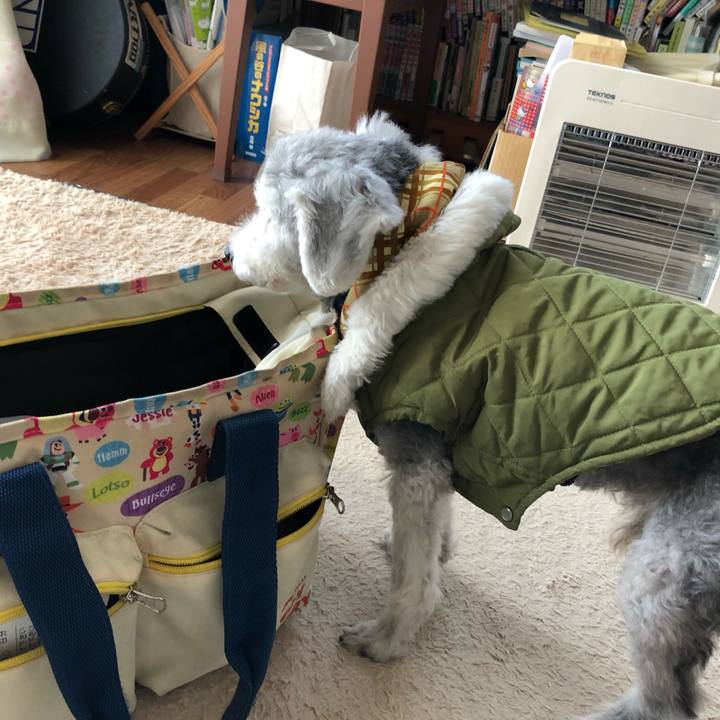 172c2f20 323c 4951 8f61 88b6a02029b7 1668400743432