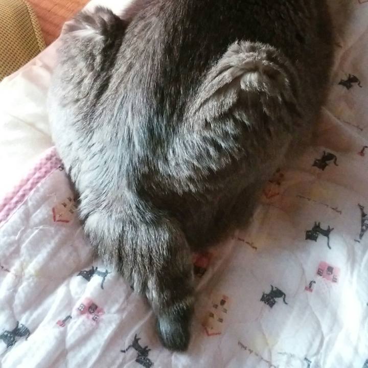 172c4465 7918 432a aca5 bdc41e2d682c 1570422266145