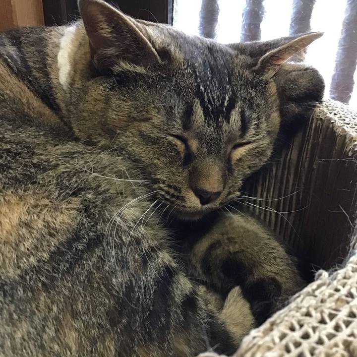 172c732a b5fa 46ae a919 06ba45244189 1751982899155