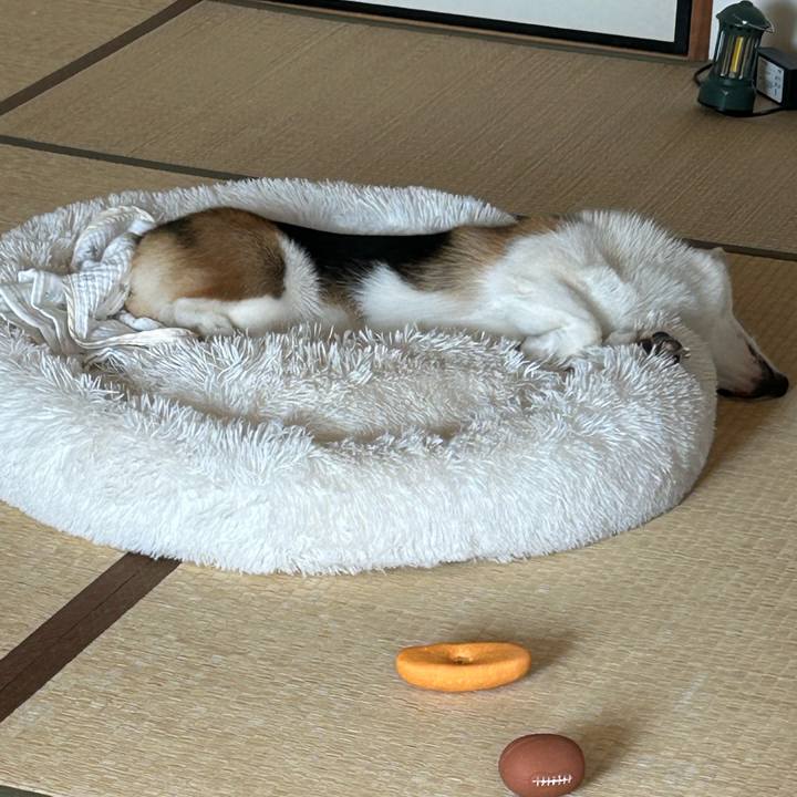 172c9f98 483a 4a54 93dc e65a9c62ed05 1765342048540