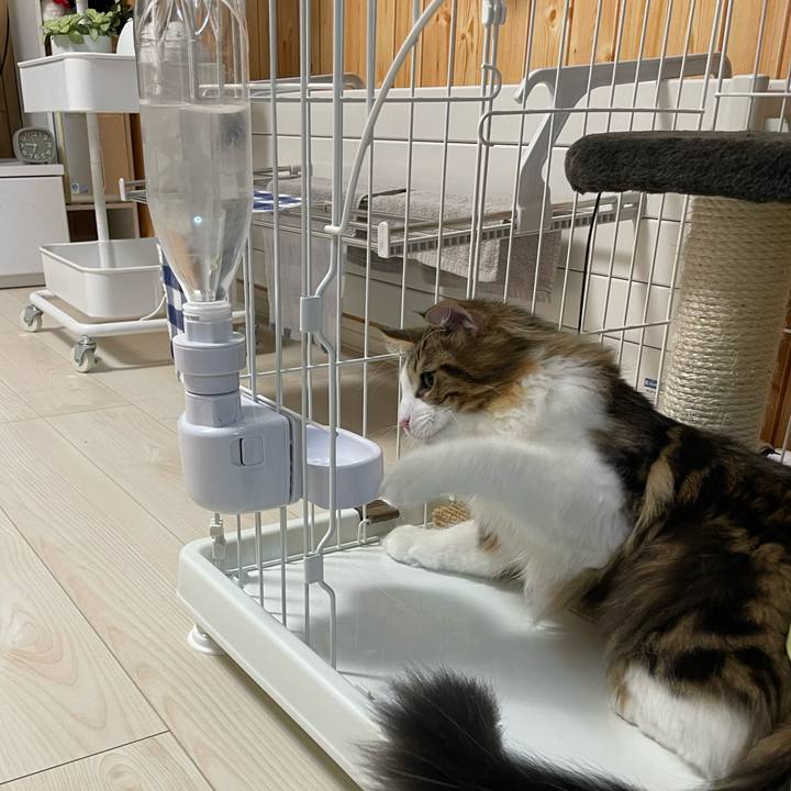 172ce107 33e1 4d94 8f74 b0abead11741 1639518946407