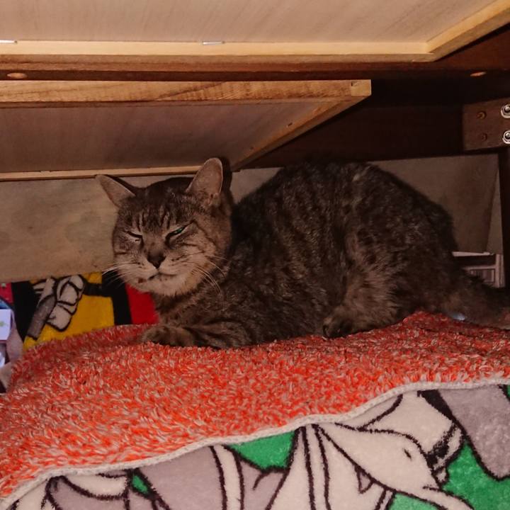 172d2307 8267 47df 99aa a8409e771bed 1580507426182