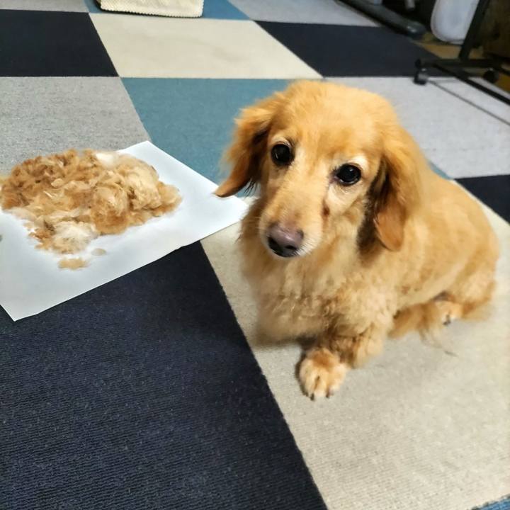 172d2615 7da0 416c b96f dc69485c1ca8 1660183953814