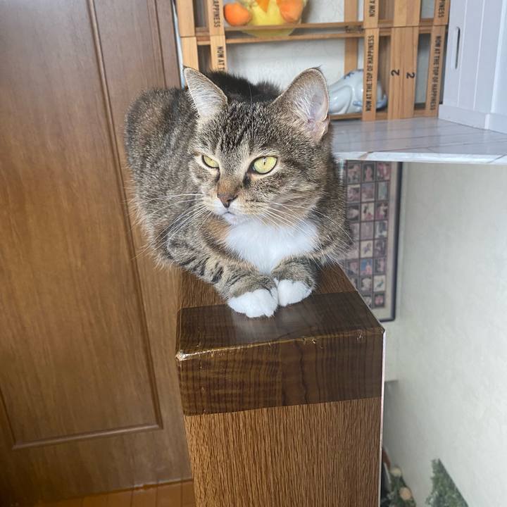 172d3e01 2c7b 4d05 9d4b dcff96669280 1631417917794