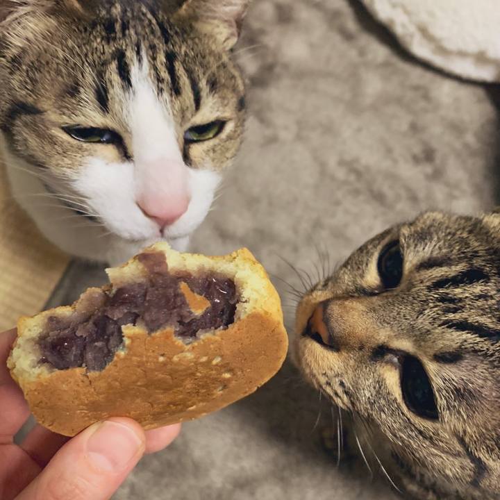 172d5664 f8be 4090 93b0 ca335788bc93 1581342705259