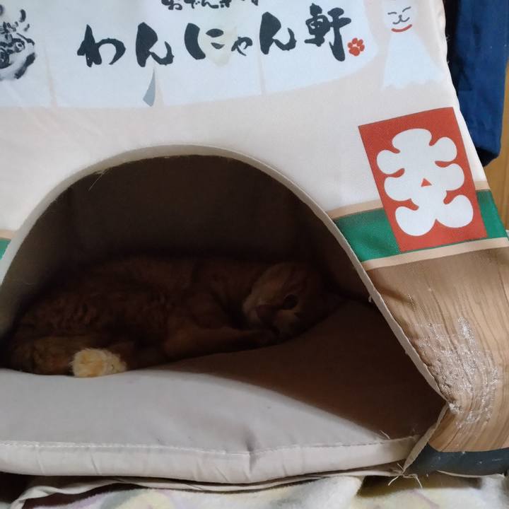 172d5800 482c 44d6 ba89 3e8f4b8af20e 1679056921992