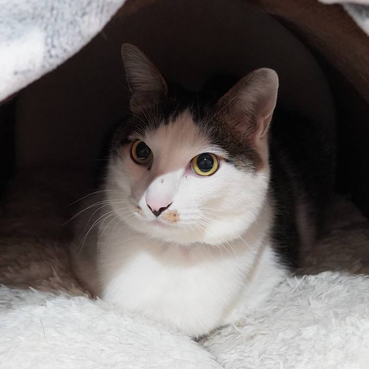 172d6cf3 9d9a 452c bc65 2e89b86802b3 1610618378816