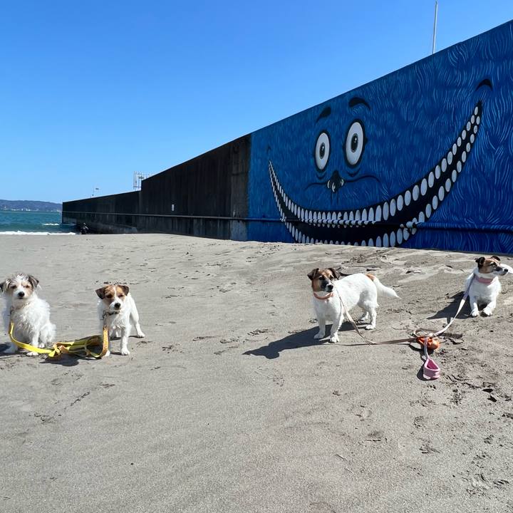 172d92e1 9731 4914 b8c3 482f3b14ce78 1679219189797