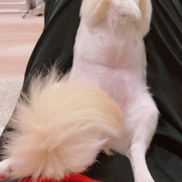 172d9a54 5c73 4cfb 8345 4d5f3786e18e 1757600015774