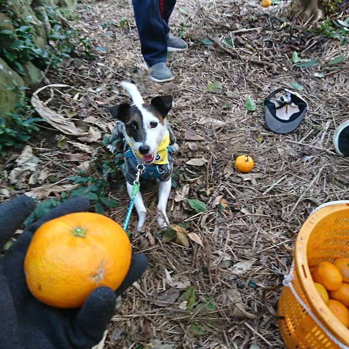 172d9f8a 16fa 4976 b8e6 1d29ba29911b 1576372916579