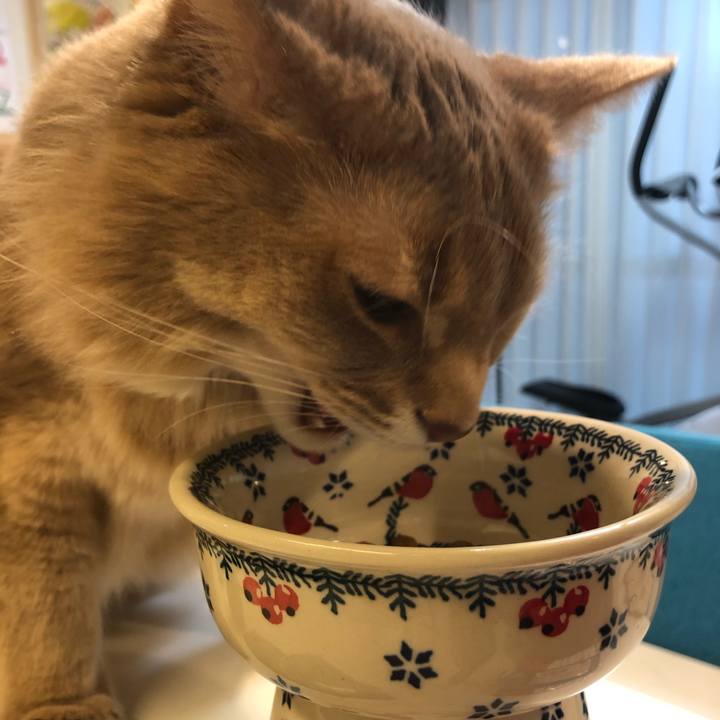 172d9ffa a9d0 4c14 adbd 84b85b02a2ef 1614383687875