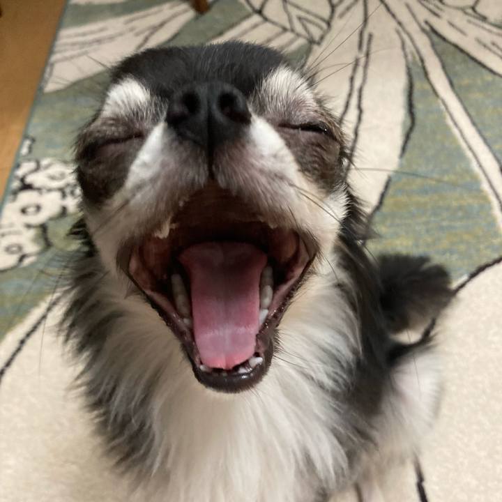 172dfb8a ad1d 4713 8dcb 80fdea65c33f 1625924156918