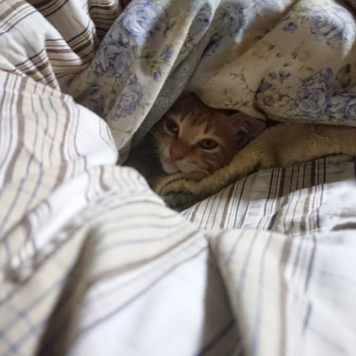 172dfda2 f083 49d5 821a cadca167ddee 1632601850167