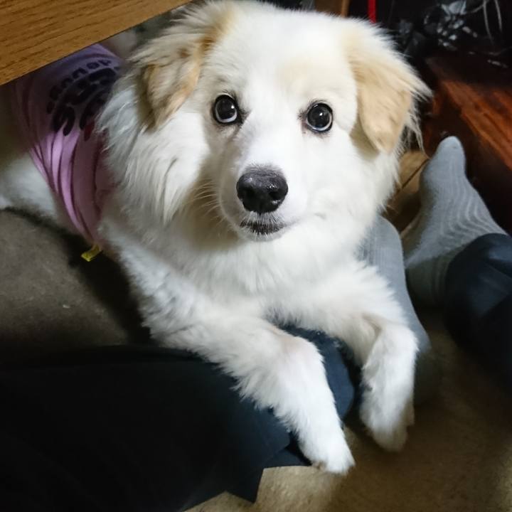 172e4bd1 6fc2 4d6f a716 117d1d118222 1534850754670