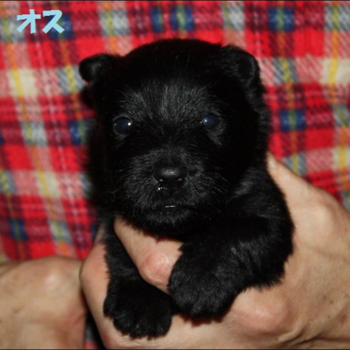 172e8c63 5608 4936 923e 01eb455303a4 1533307702767