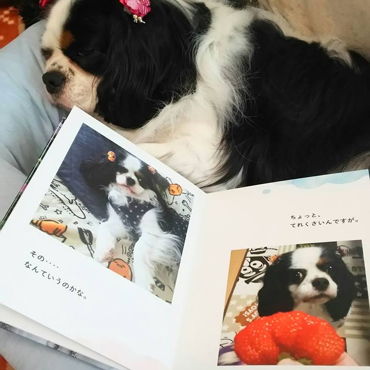 172e9231 577f 4403 9b54 45533bfacdc5 1529024258569