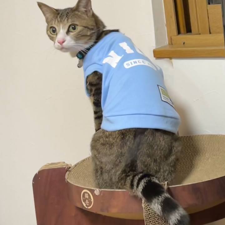 172e9c59 4b7e 40d3 93b5 4d7d93a92aa5 1676871133375