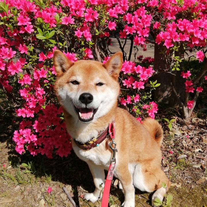 172eb1ec 36e6 4b9a 8fdf d8661b7da220 1618963613072