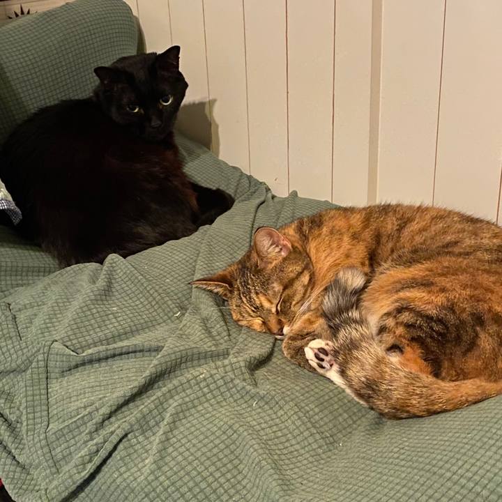 172eda03 f369 4a49 a144 8f2ccc06e9e4 1578237084301