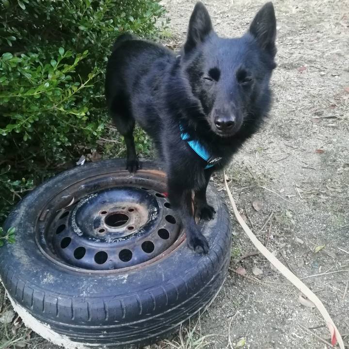 172f3080 2d25 4469 a865 1f0805325c67 1637099936734