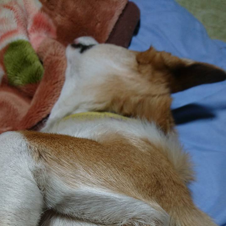 172f53d5 7648 4e3b b1e5 f0d96ff0e151 1576582184330