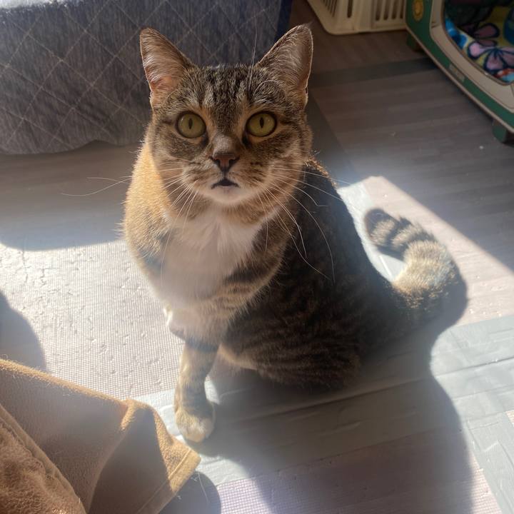 172f853b c4db 4250 9f86 74e00ee7ccb6 1644370758957