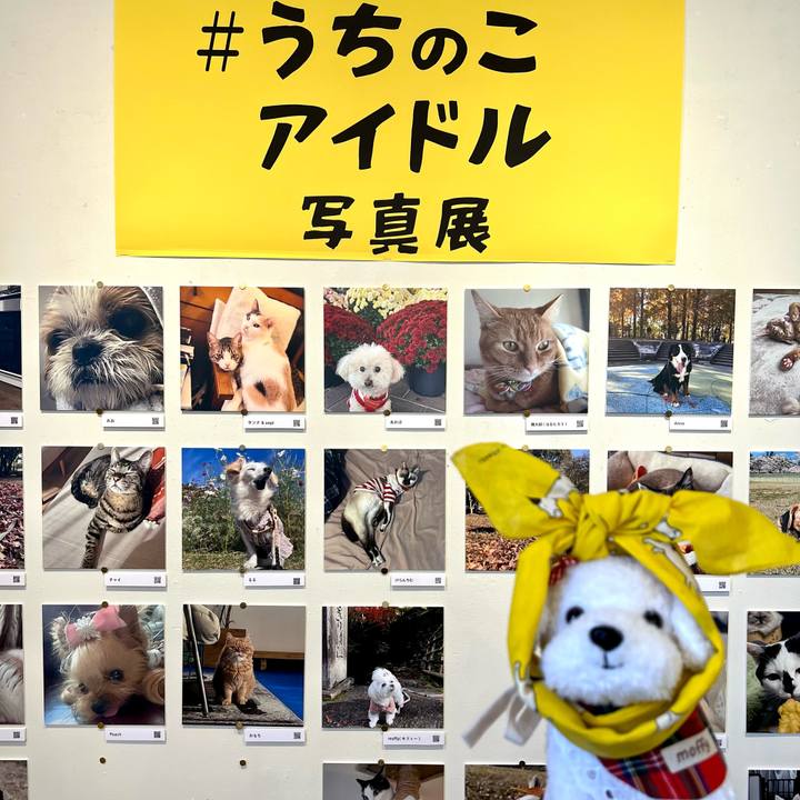 172f9f13 439f 4497 ab2e d327b026744a 1766216532111