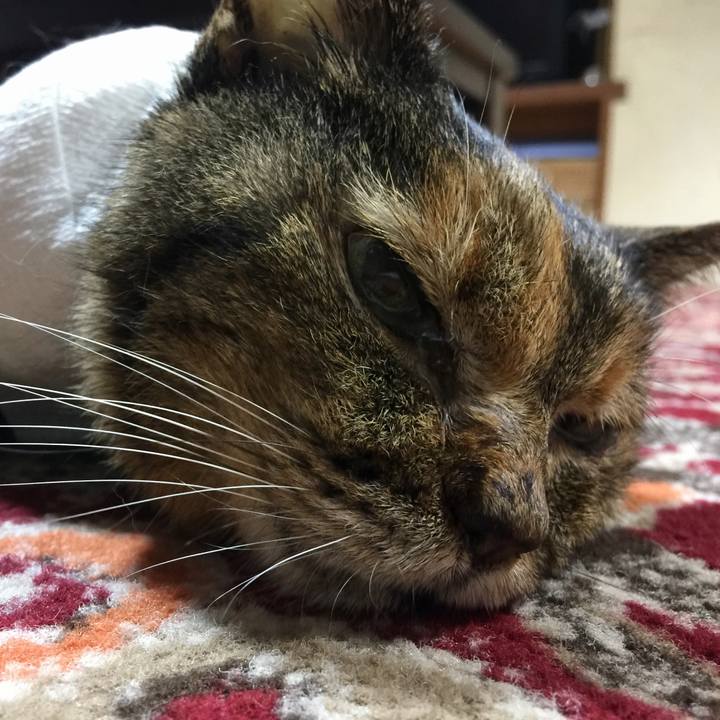 172fe160 ecec 48ff 8922 cef689afa4a9 1663500152242