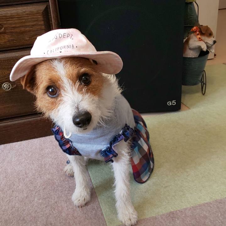 172fe291 512c 413f b393 d1e9fbdb3272 1554597559324