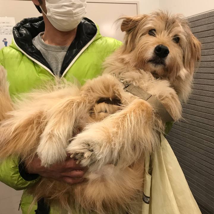 172fed3f 239a 42c0 96e4 775b4b680bac 1584916322860