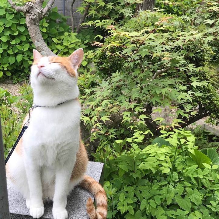 172ff917 f1a1 42b7 8c88 7950f8d8d89c 1527050832634