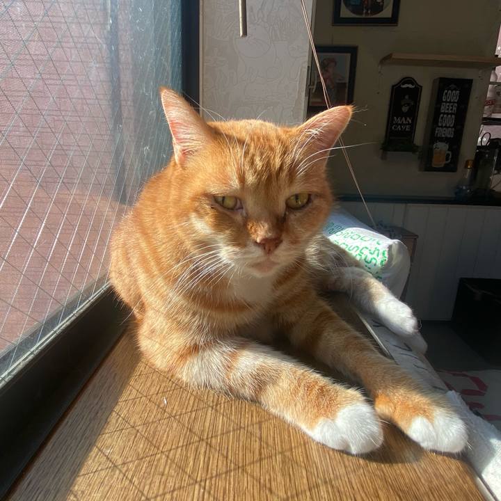 172ffb1b dc7c 4fad 8f03 6a6f0f218f3c 1609557506282