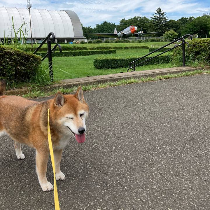 17300bcd adea 4336 a753 74c493554ca6 1658297005337