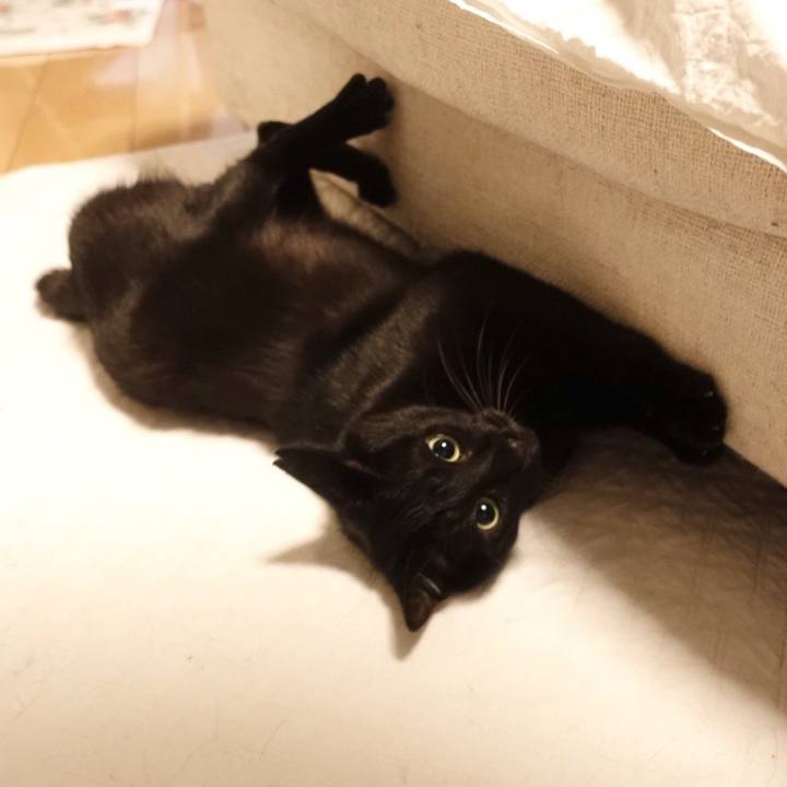 17301363 b4c2 453a 9ca5 11d84a3c2338 1526052420555