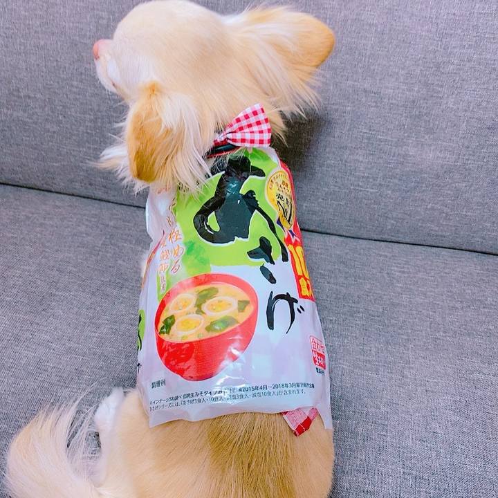 17301ea3 6651 4dfe 89d4 9a489fe5360a 1621774937108