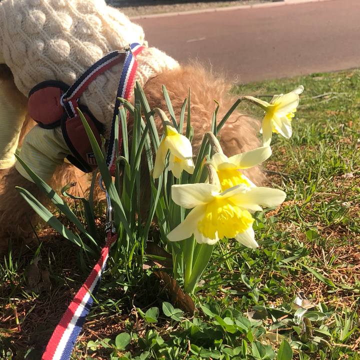 17301f94 9408 4ee2 890d 49f54cd150a2 1648861609985