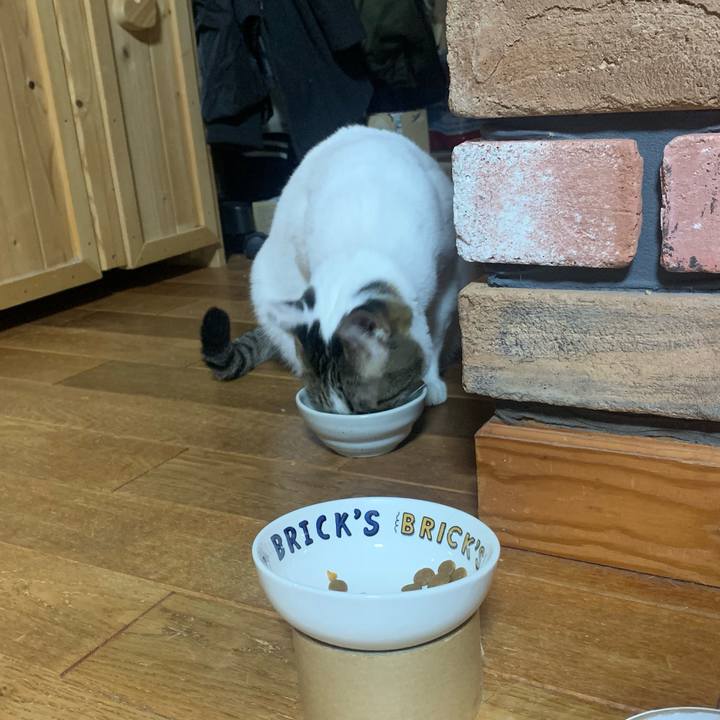 173025dc 8b55 468d 9591 72b469544516 1583595458371