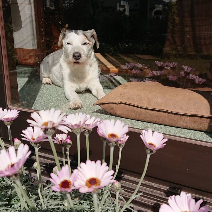 17305116 cf90 485c 8aed 91e9446baa1e 1584401974569