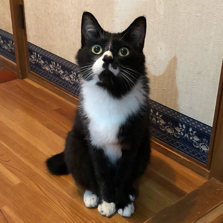 17305575 40bc 4db5 8f48 239d54cd22b3 1564631289517